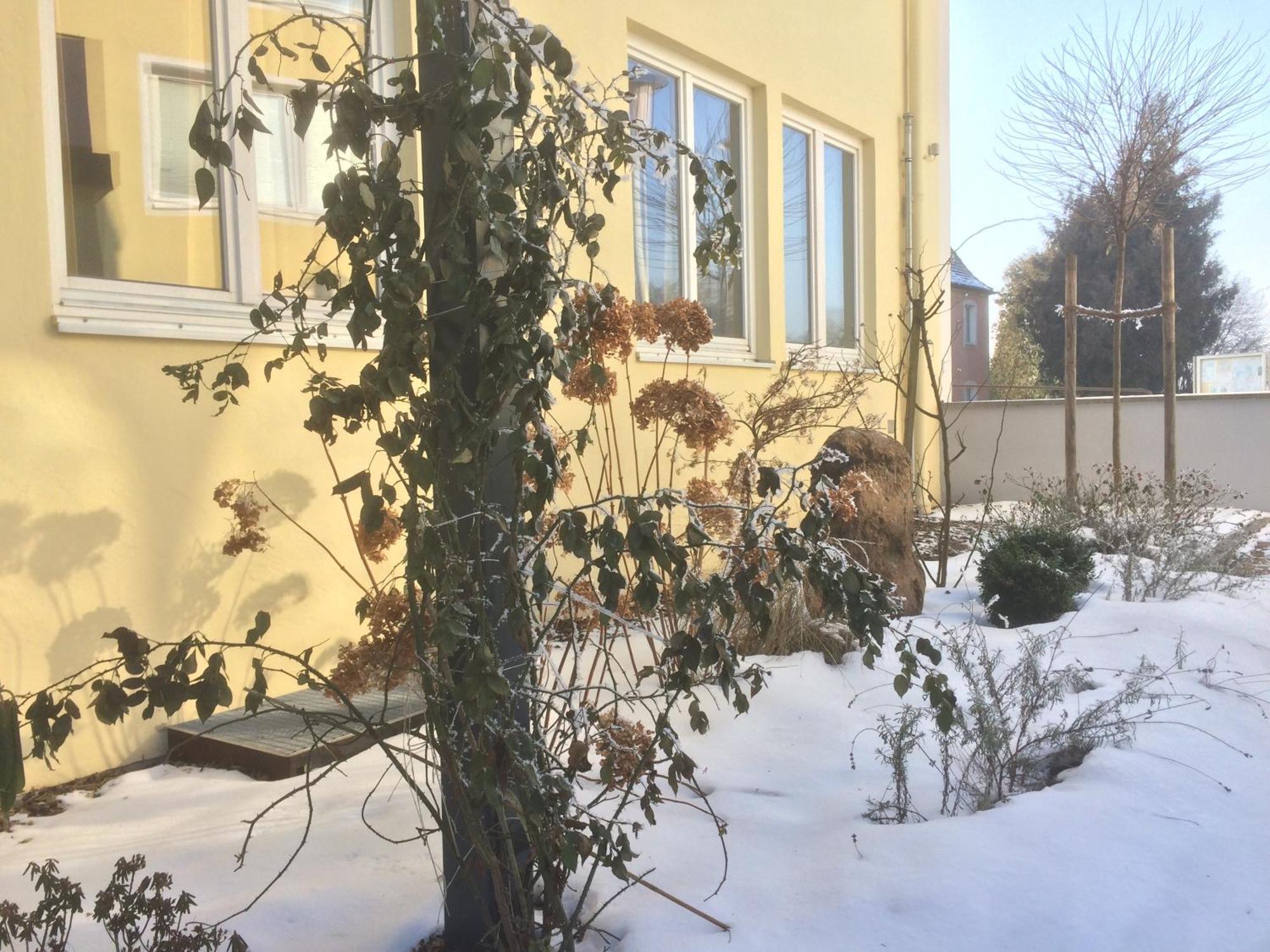 Alte Post Apartment Bad Griesbach  Cameră foto