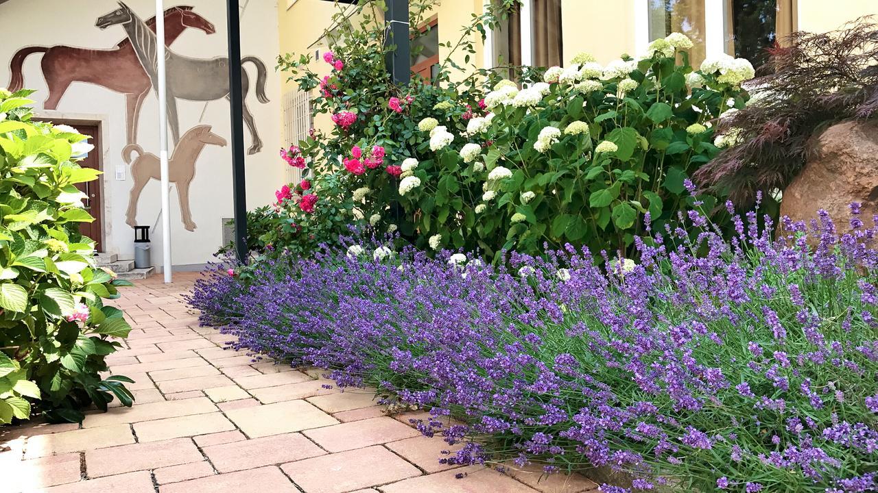 Alte Post Apartment Bad Griesbach  Exterior foto